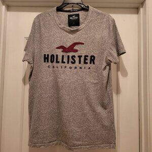 Hollister Logo Short Sleeve Tee Mens S